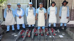 Jornada de fumigación y abatización beneficia a más de 6 mil hogares en el Distrito III