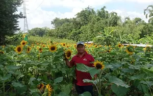 Masaya, Matagalpa, Estelí y Jinotega lideran la producción de flores en Nicaragua