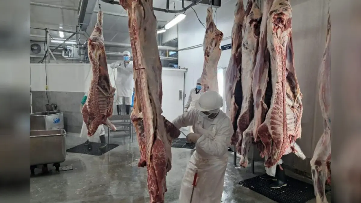 Ganadería bovina mantiene crecimiento con más de 380 millones de libras producidas