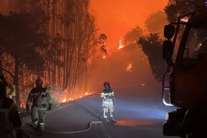 Fuego arrasa miles de hectáreas durante temporada crítica en Chile