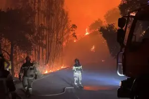 Fuego arrasa miles de hectáreas durante temporada crítica en Chile