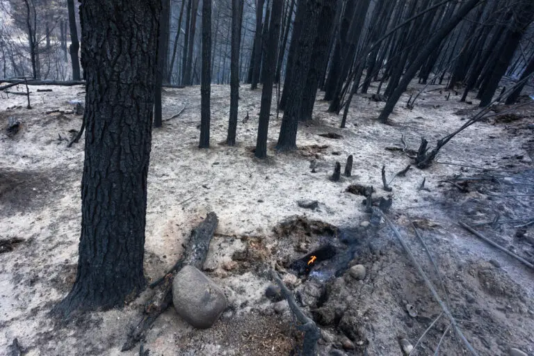 Incendios exponen desfinanciación ambiental en Argentina