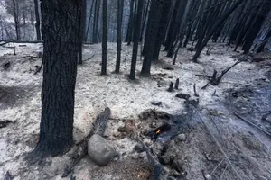 Incendios exponen desfinanciación ambiental en Argentina