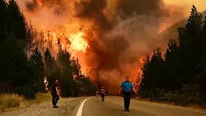Argentina enfrenta emergencia ambiental y falta de fondos estatales para combatirla