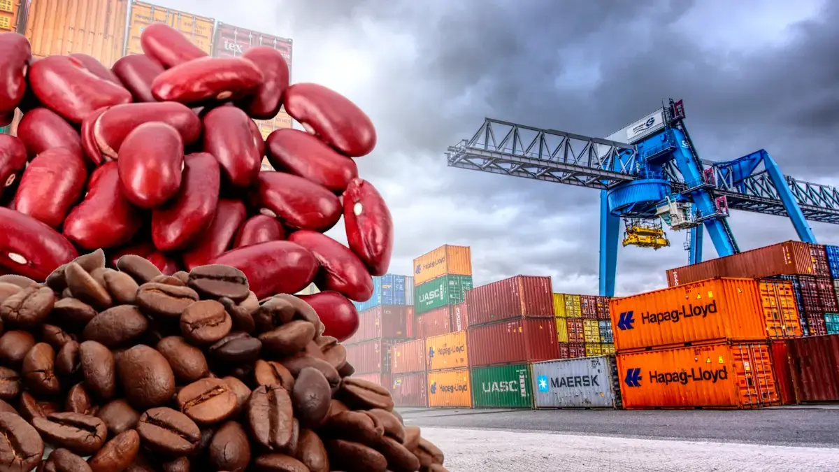 Economía nacional muestra fortaleza con crecimiento sostenido del comercio exterior