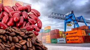 Economía nacional muestra fortaleza con crecimiento sostenido del comercio exterior