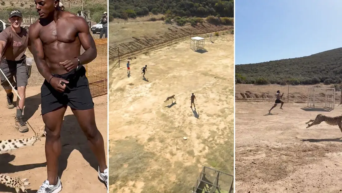 Youtuber resulta herido al correr contra un guepardo