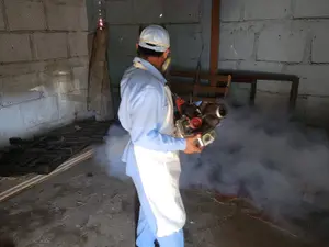 MINSA ejecuta abatización y fumigación casa a casa