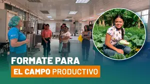 Tecnológico agropecuario de Chinandega abre proceso de matrícula 2026