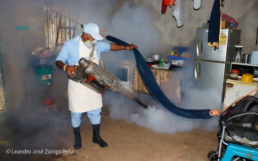 Brigadistas de salud visitan hogares para eliminar criaderos del mosquito
