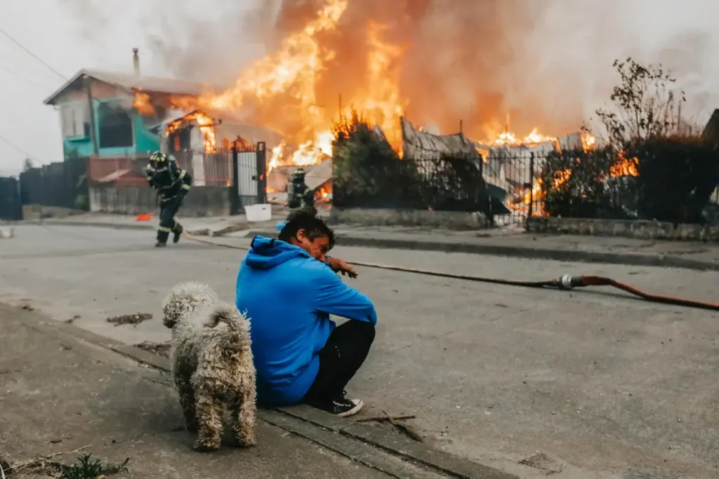 Incendios en Chile dejan más de 320 viviendas destruidas