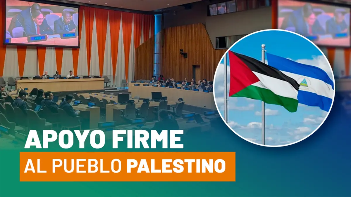 Nicaragua es reelecta en vicepresidencia del Comité de la ONU para Palestina