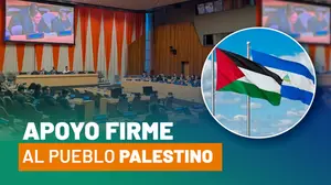 Nicaragua es reelecta en vicepresidencia del Comité de la ONU para Palestina