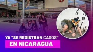 ¿Qué son los “therians” y de dónde surge esta tendencia viral?