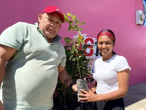 ¡Adoptemos un árbol! Familias de Jalapa celebran con jornada ambiental