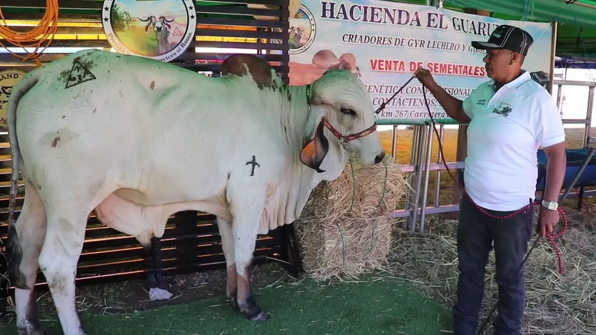 Inauguran nueva edición de la feria agropecuaria ríos de leche en Santo Tomás, Chontales