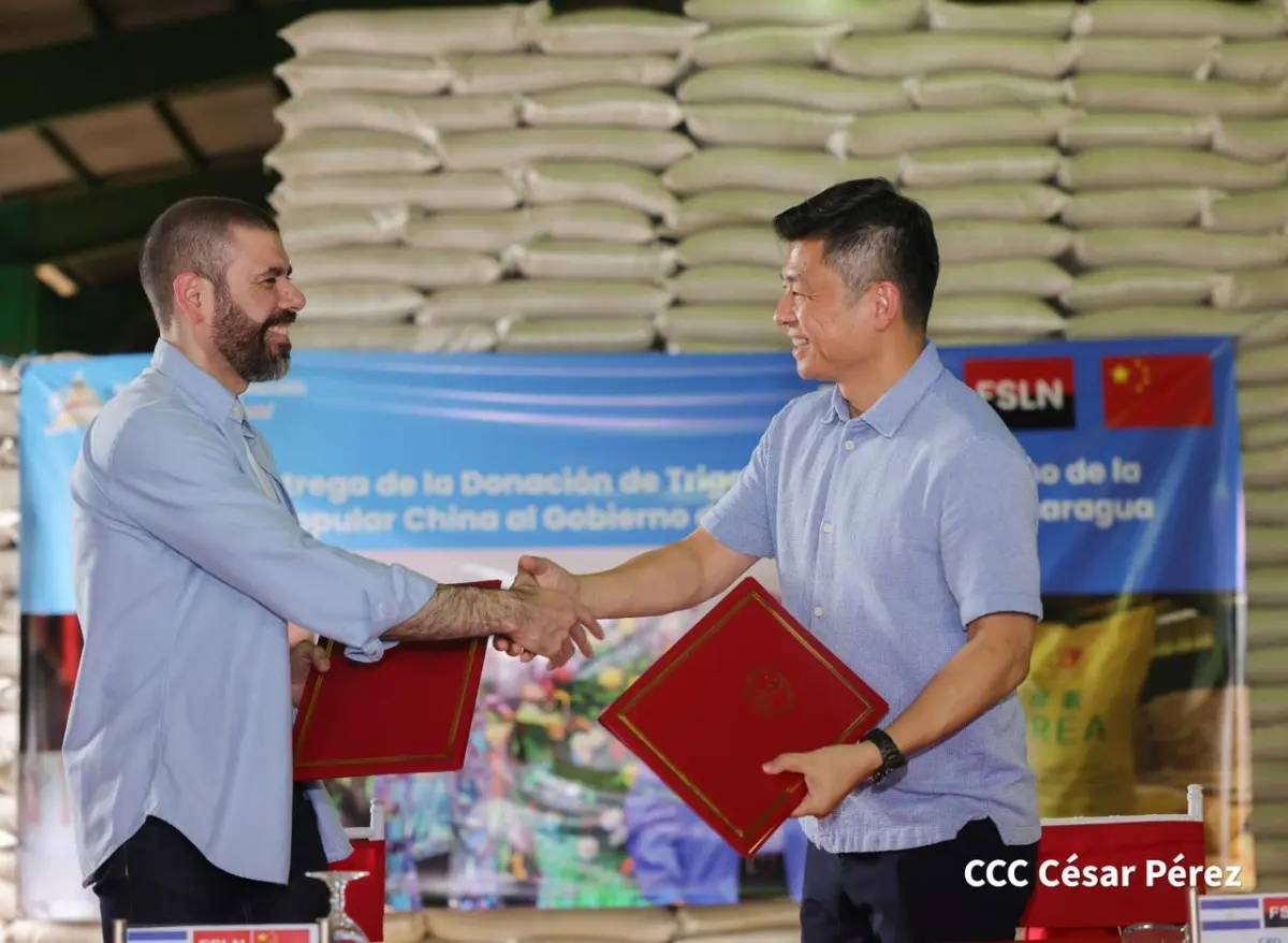 Tercera entrega de urea y trigo fortalece producción agrícola en Nicaragua