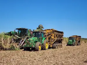 Crecimiento y sostenibilidad marcan la zafra azucarera 2025-2026