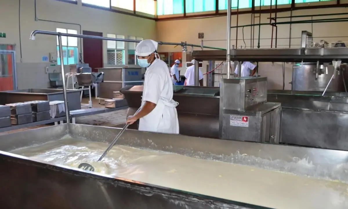 Producción nacional de lácteos fortalece abastecimiento y economía familiar