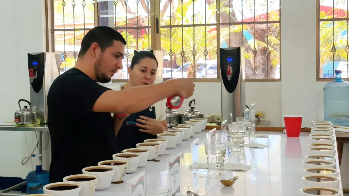 Café nicaragüense destaca en etapa inicial de The Best of Maragos