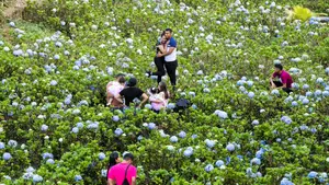 Parque Las Milflores destaca como atractivo turístico en El Crucero