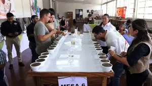 Certamen taza de la excelencia premia al mejor café de Matagalpa