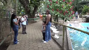Espacio de aprendizaje y diversión para familias que visitan el Zoológico Nacional