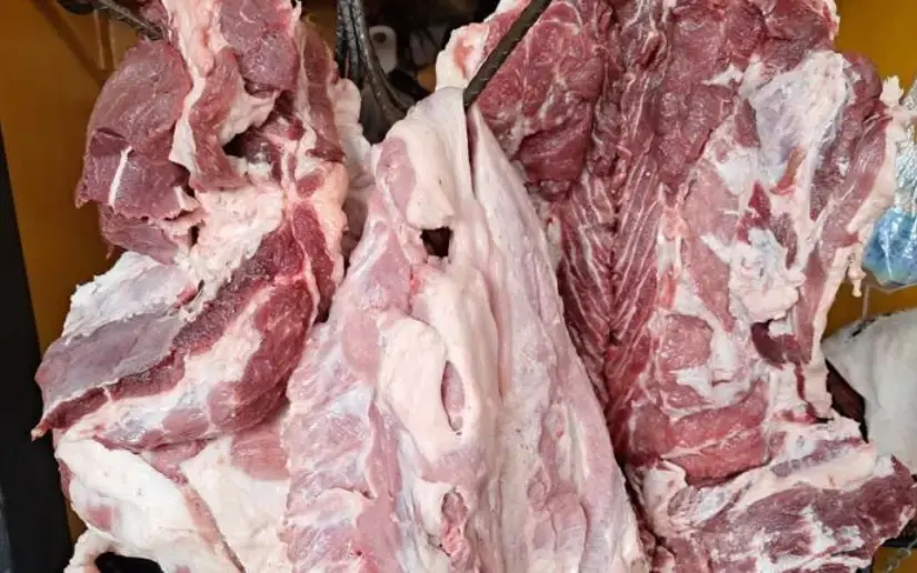 Sector porcino dinamiza la economía y garantiza alimento a las familias