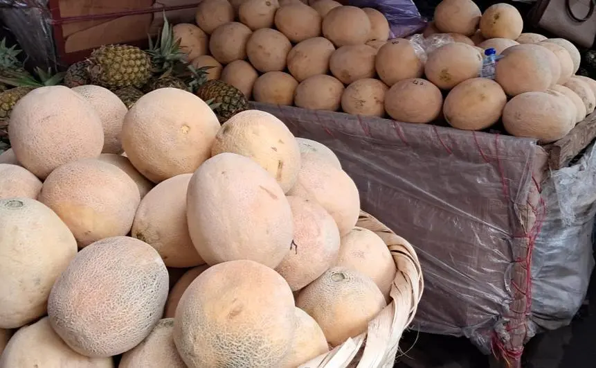 Nicaragua avanza en producción de melón y garantiza mercados nacionales
