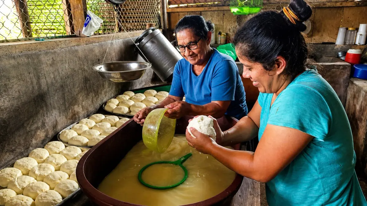 Producción de quesos y cuajada alcanza 58.5 millones de libras en Nicaragua
