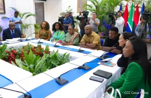 Nicaragua estrecha vínculos históricos con Sudáfrica