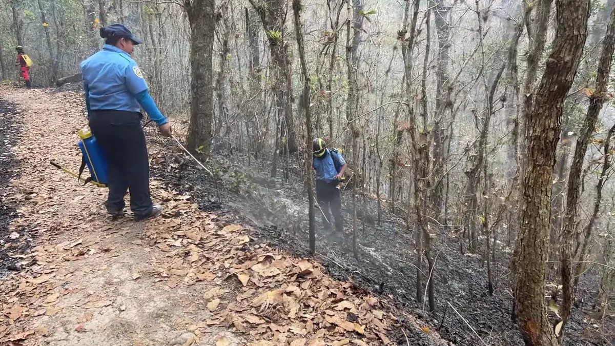 Luego de 3 días es controlado incendio en la Reserva Natural del Cerro Apante, Matagalpa