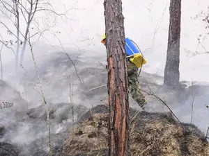 Brigadistas voluntarios enfrentan incendios forestales en bosques de Mozonte