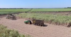 Producción nacional de azúcar supera los 15 millones de quintales