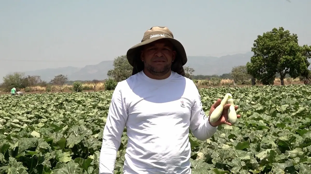 Productores de Sébaco proyectan exitoso ciclo agrícola de invierno