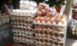 Queso, huevos y pollo, entre los productos que bajaron de precios