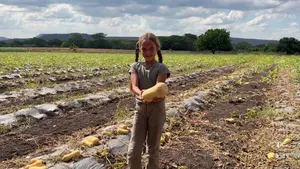 Productores de sébaco diversifican sus cultivos para el mercado nacional