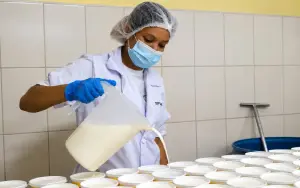 Crece producción nacional de yogur, crema y leche agria al mes de abril