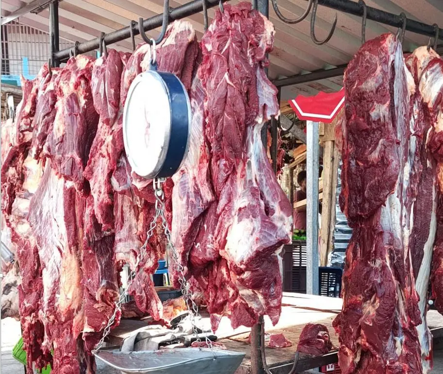 Sector ganadero nicaragüense mantiene crecimiento en producción de carne bovina