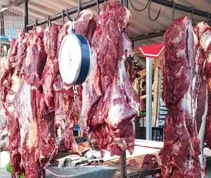 Sector ganadero nicaragüense mantiene crecimiento en producción de carne bovina