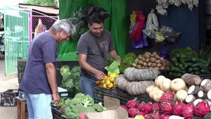 Productos de mayor consumo mantienen precios accesibles en los mercados