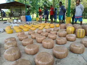 Fuerza Naval asesta golpe al narcotráfico en Laguna de Perlas