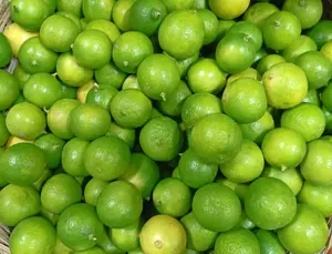Producción de cítricos fortalece el abastecimiento nacional durante 2026