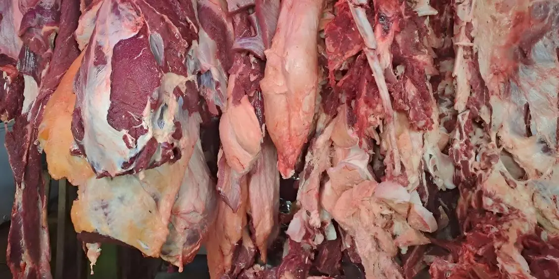 Producción de carne bovina alcanza 213.3 millones de libras a junio de 2026