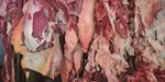 Producción de carne bovina alcanza 213.3 millones de libras a junio de 2026