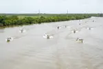 Puerto Cabezas conmemora la gesta heroica de Seven Benk